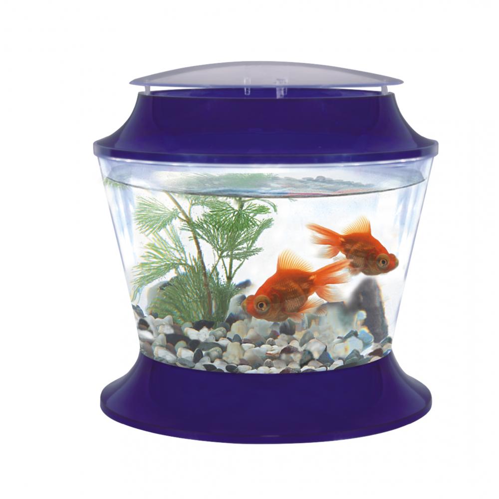 Fish 'R' Fun Plastic Fish Bowl & Lid