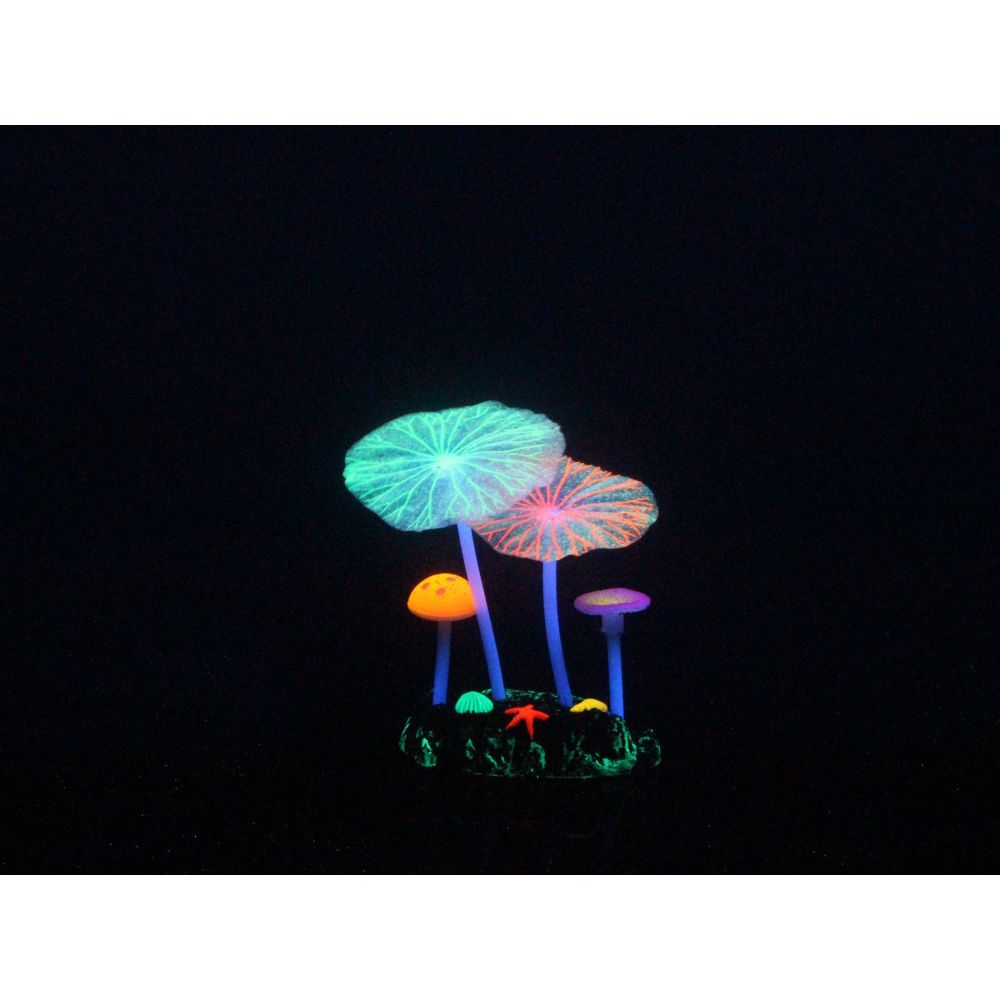 Aquarium Lumo Mushroom Lotus