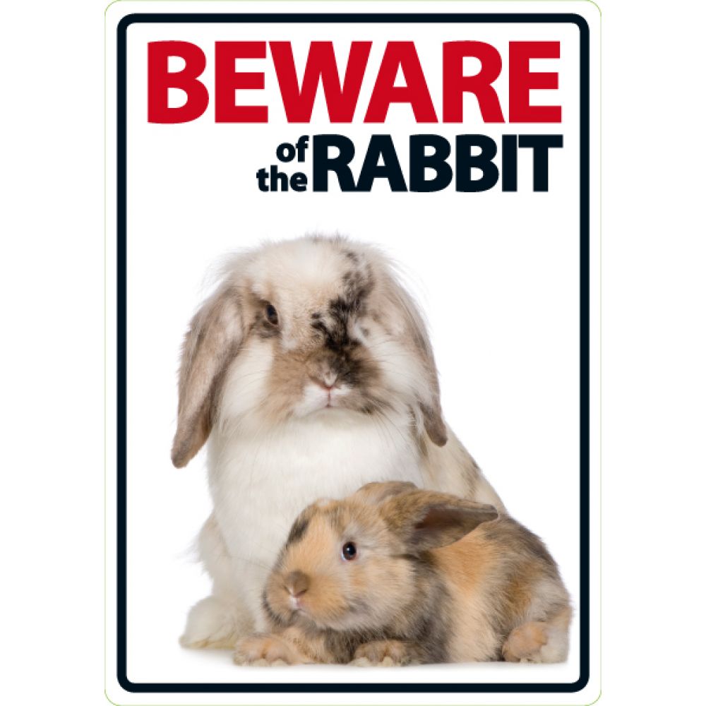 Beware Of The Rabbit
