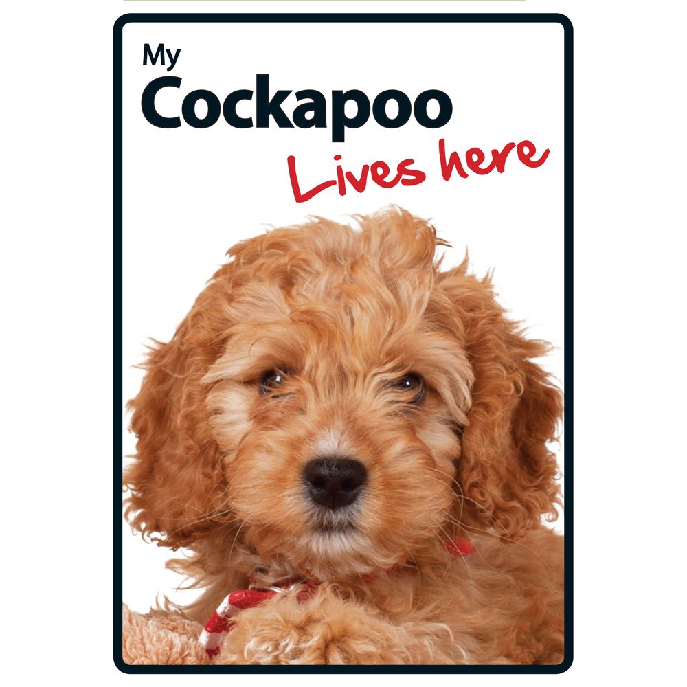My Cockapoo Lives Here