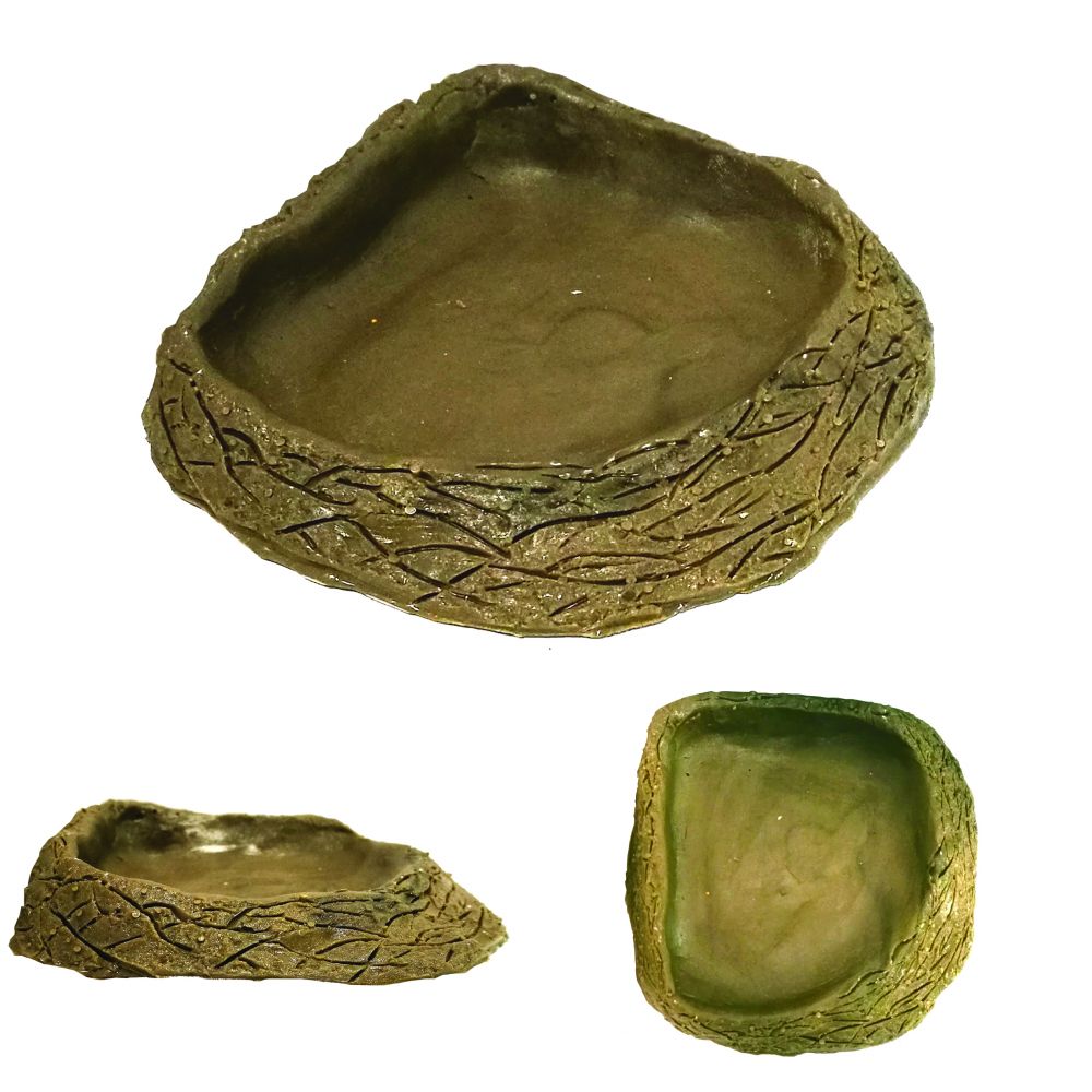 Tortoise Corner Ramp Bowl