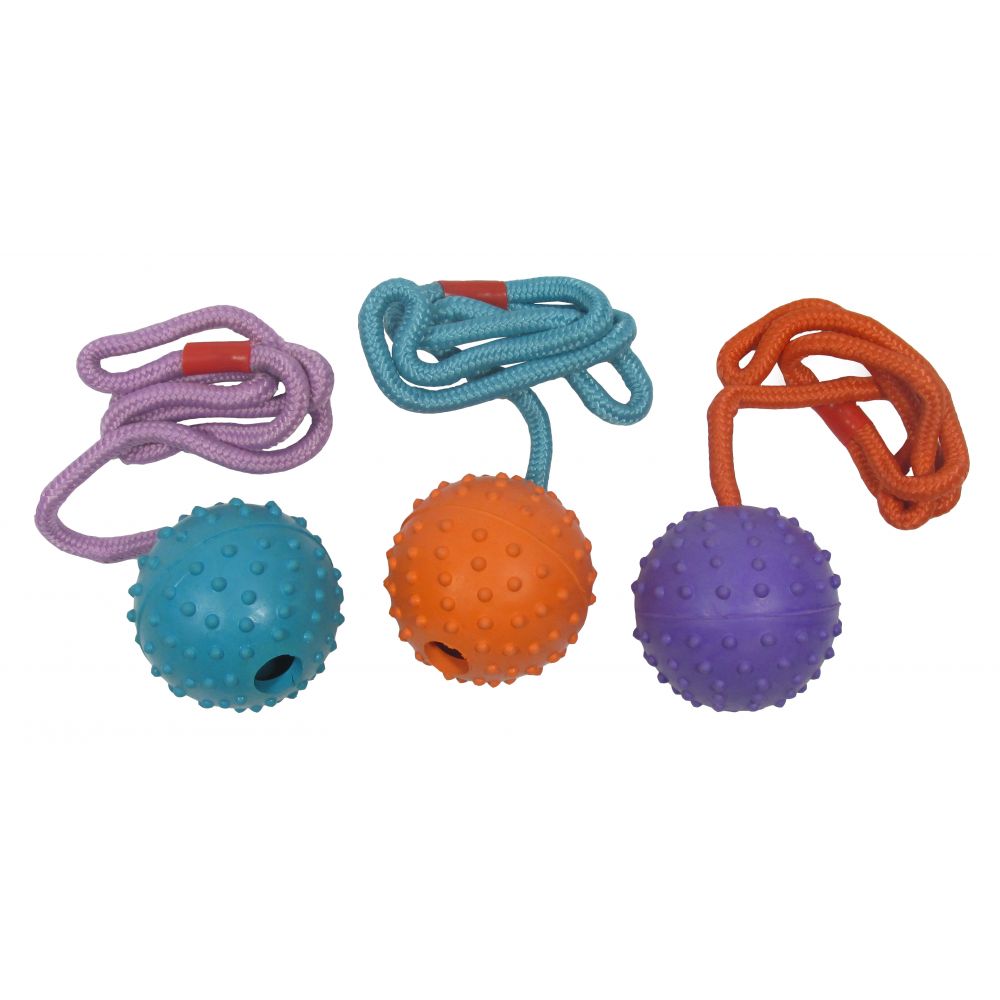 Good Boy Rubber Ball On Rope Dog Toy