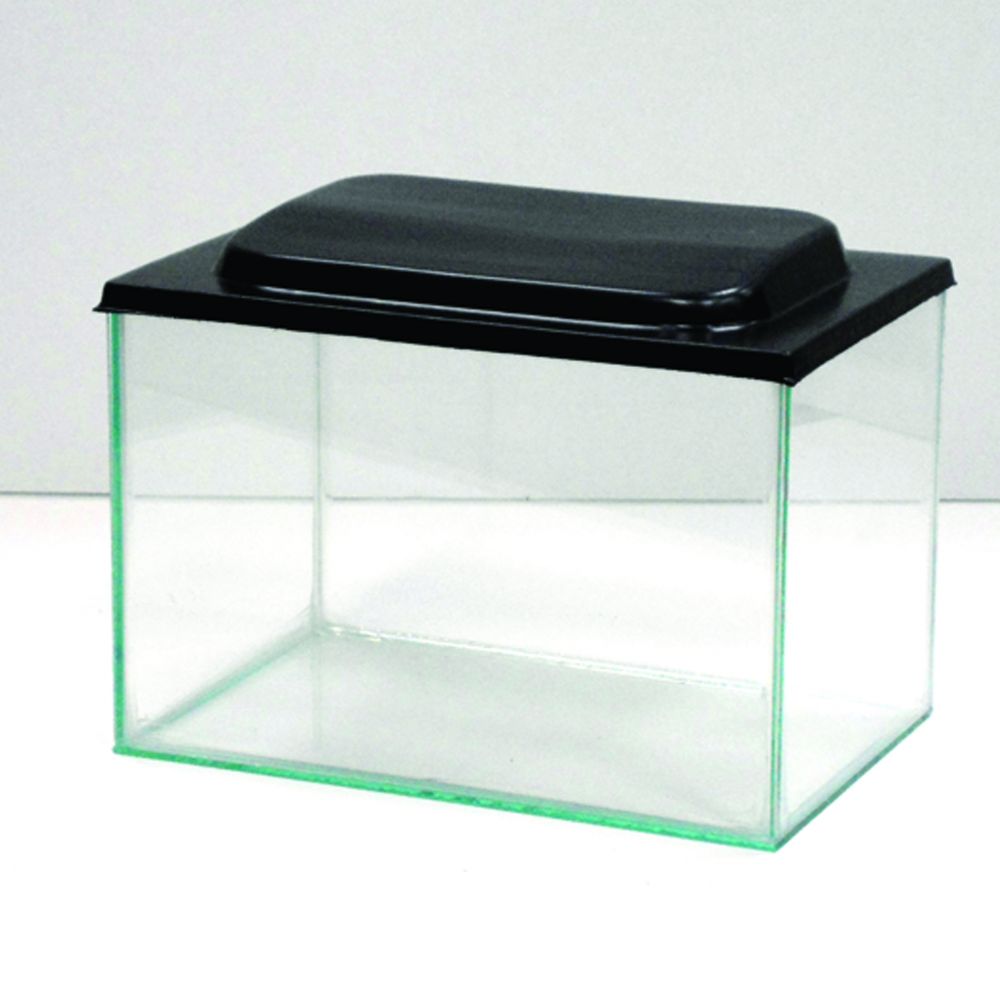 Mini Glass Aquarium - 3 sizes available