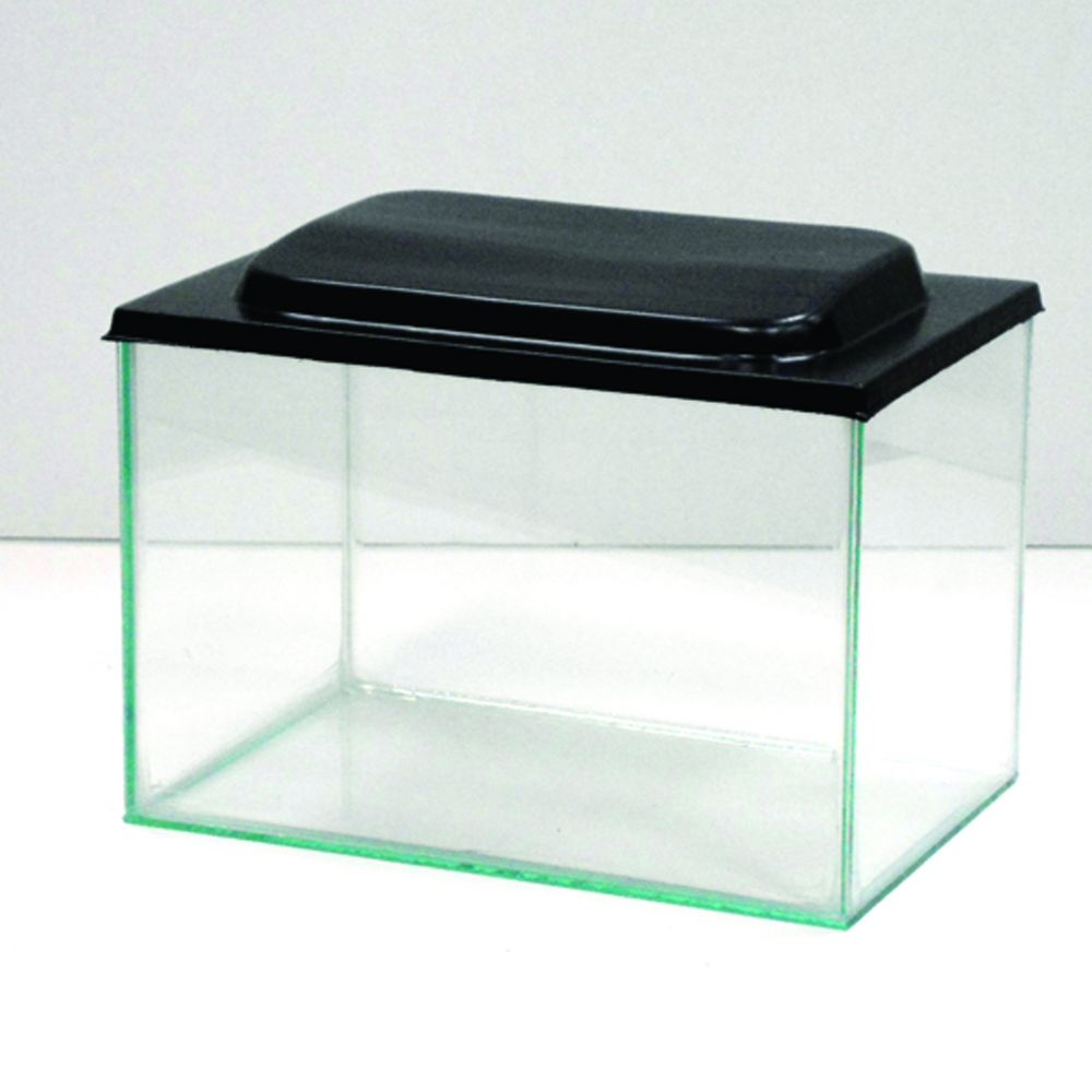 Mini Glass Aquarium. Comes with or without a plastic lid.