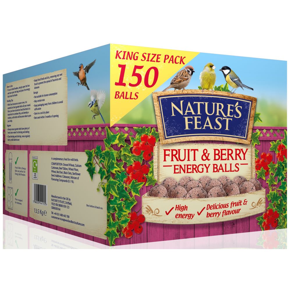 Nature's Feast Energy Balls Fruit & Berry 150s