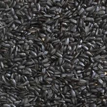 Buckton Black Sunflower Seeds12.75kg
