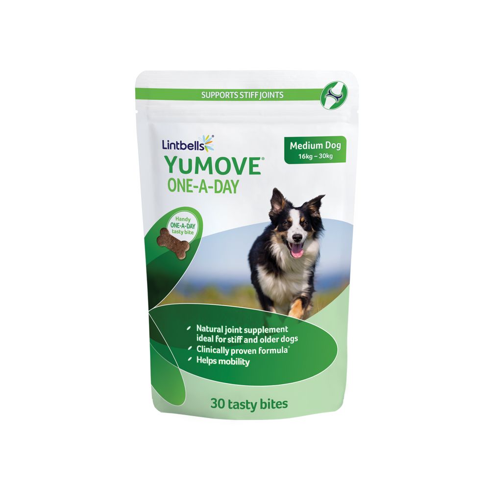 YuMOVE ONE-A-DAY Medium Dog