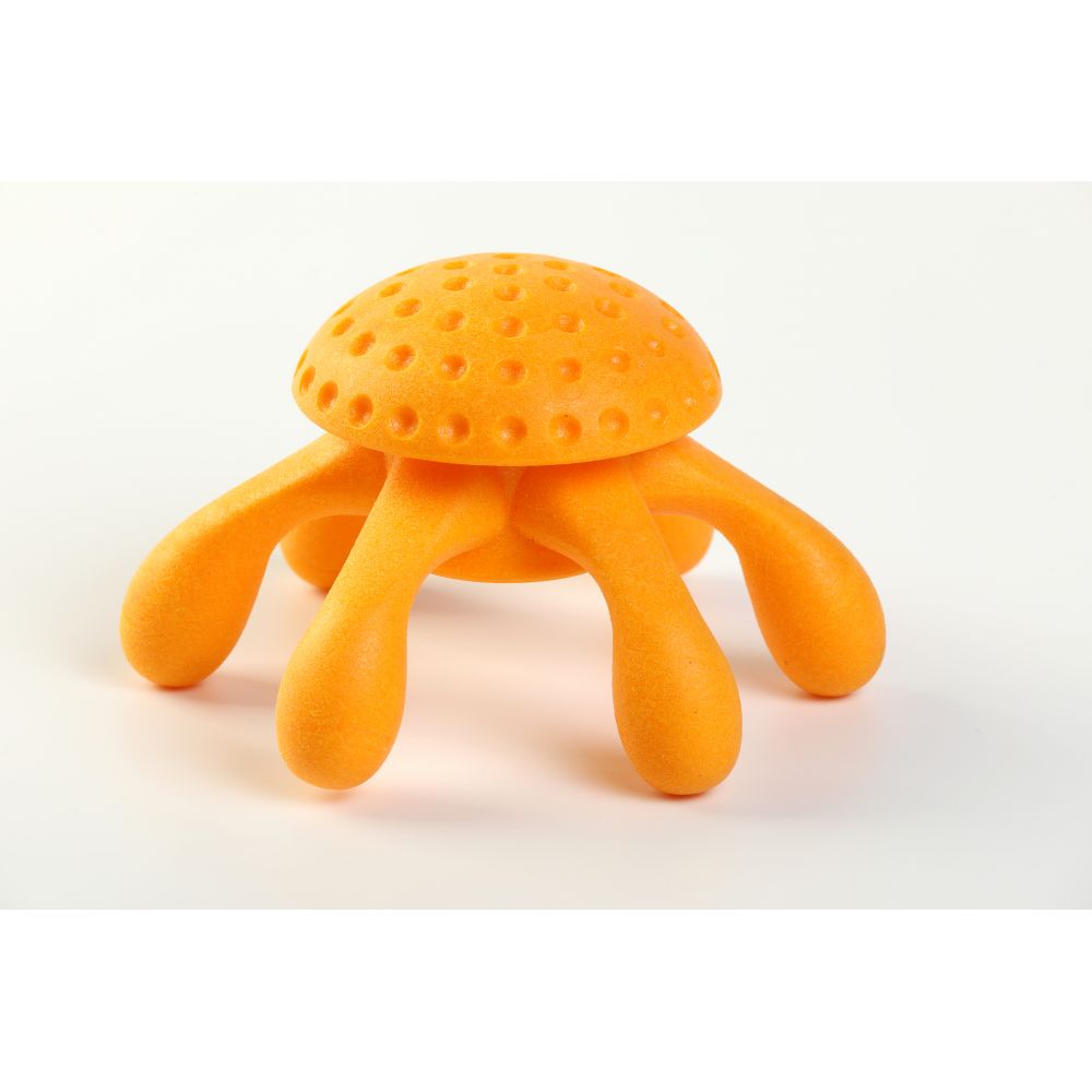 Kiwi Walker Lets Play Octopus Orange