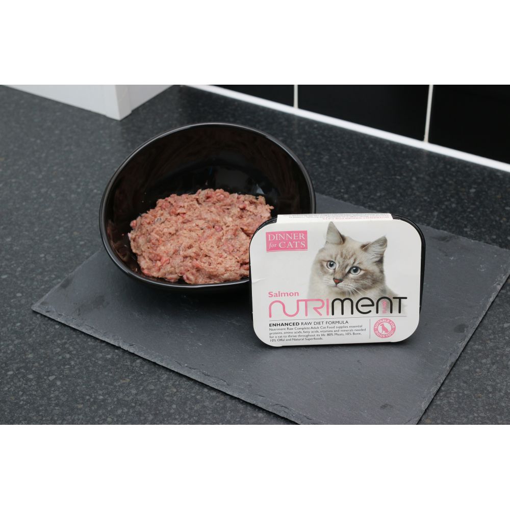 Nutriment Cat Adult Salmon Dinner 24 pack