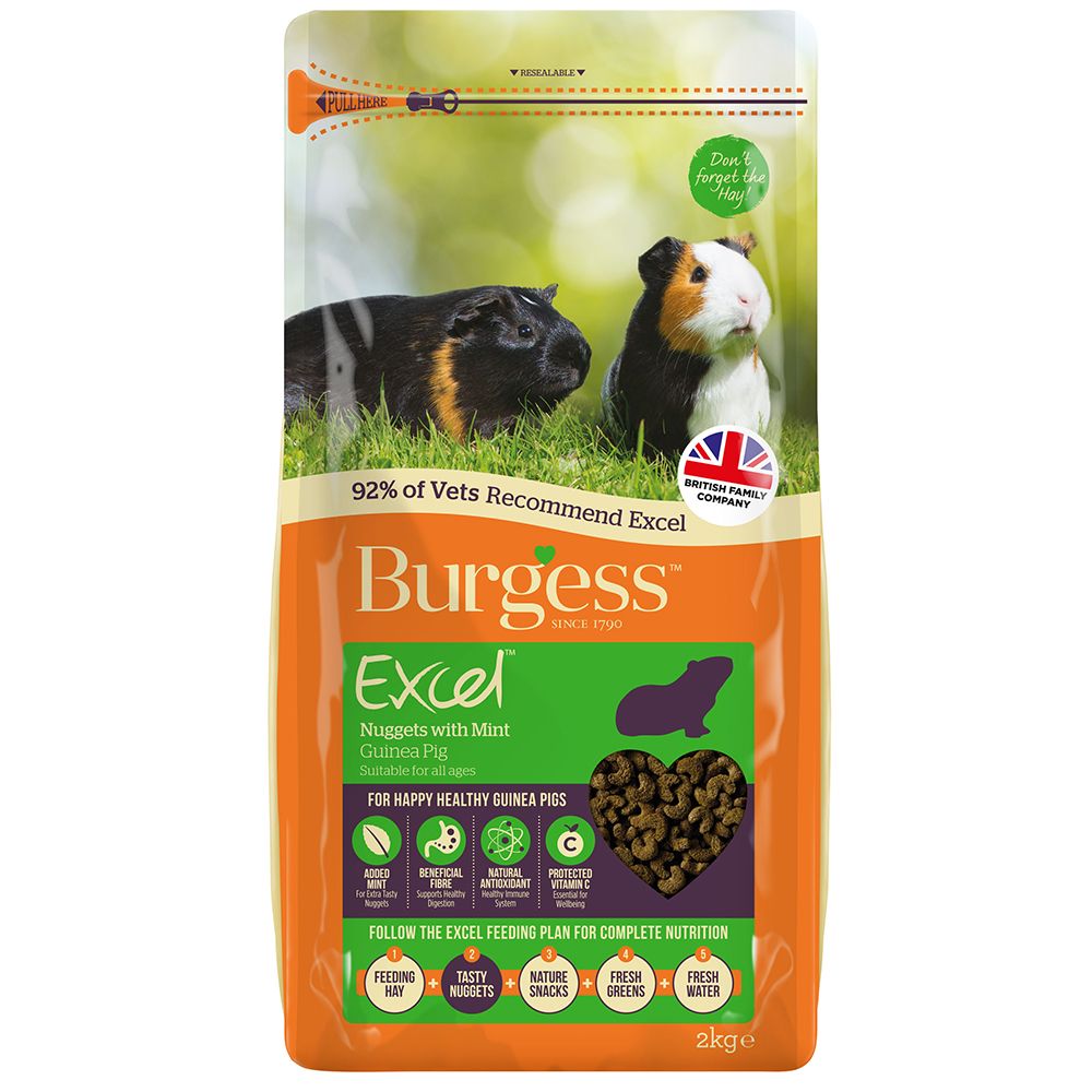 Burgess Excel Adult Guinea Pig Nuggets with Mint